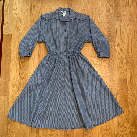 Lanz Originals Dresses & Skirts - Railroad strip button down shirt dress with pockets and full circle skirt